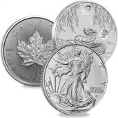 Silver Coin